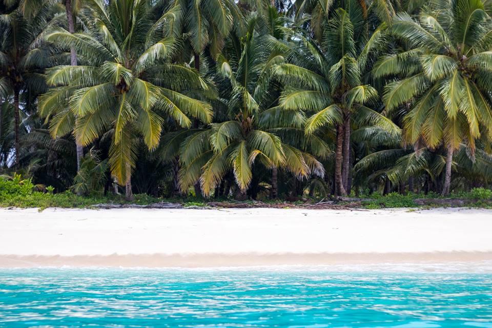 Mentawai Ebay Playground Surfcamp Villa Masokut Luaran gambar